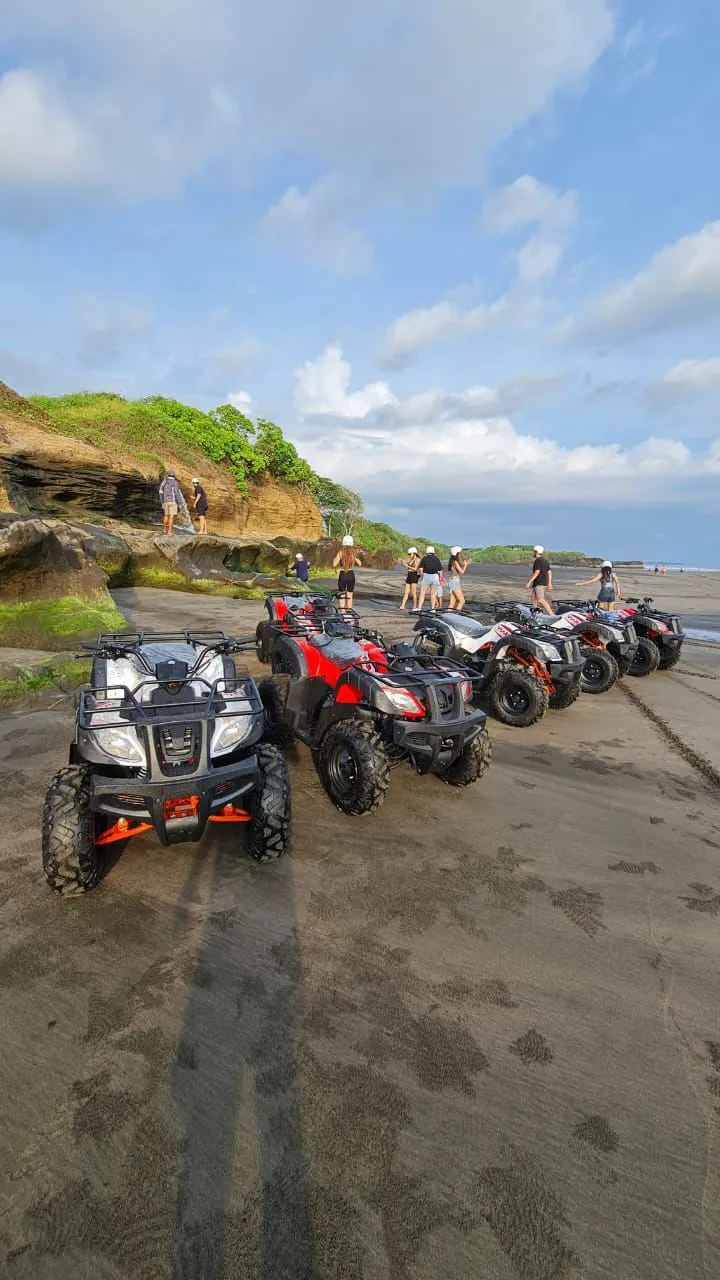 Bali Day Tours